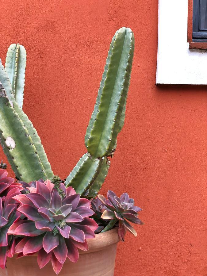 タリファ Cortijo El Pozueloゲストハウス エクステリア 写真