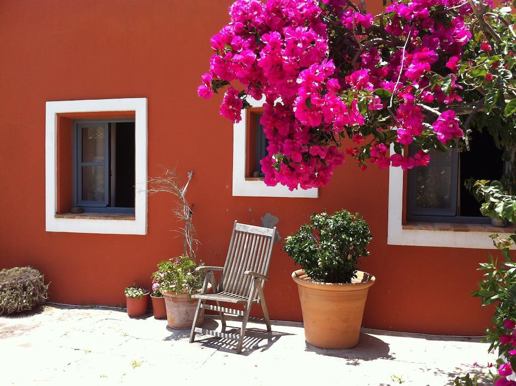 タリファ Cortijo El Pozueloゲストハウス エクステリア 写真